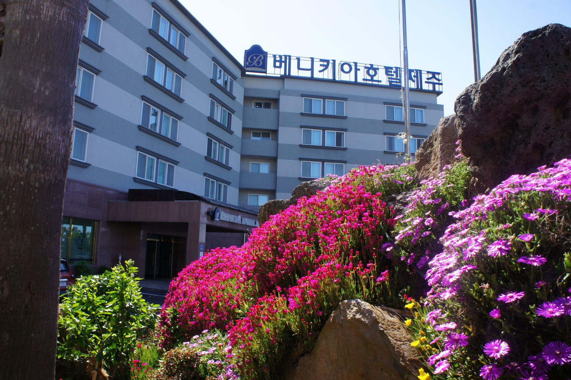 베니키아 호텔 제주 외부 사진